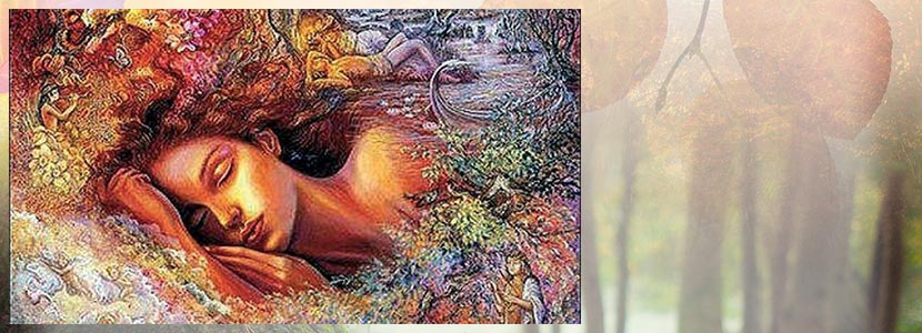 les offres de David Phild